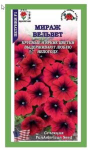 Петуния Мираж Вельвет F1