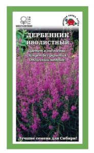 Дербенник Иволистный