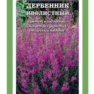 Дербенник Иволистный