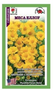 Гайлардия Меса Еллоу