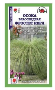 Осока Фростет Керл власовидная