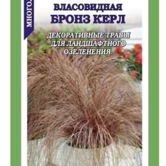 Осока Бронз Керл власовидная