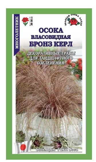 Осока Бронз Керл власовидная