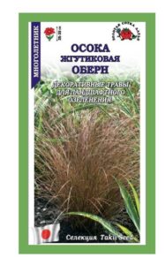 Осока Оберн жгутиковая
