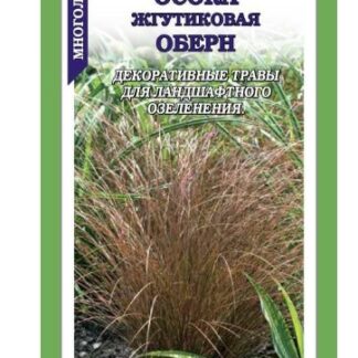 Осока Оберн жгутиковая