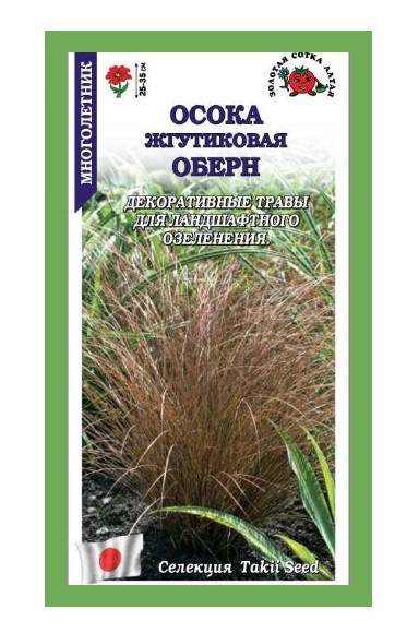 Осока Оберн жгутиковая