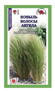 Ковыль Волосы Ангела