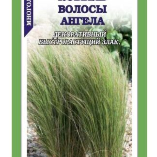 Ковыль Волосы Ангела
