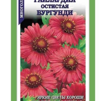 Гайлардия Остистая Бургундии