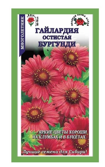 Гайлардия Остистая Бургундии