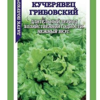 Салат Грибовский кучерявец