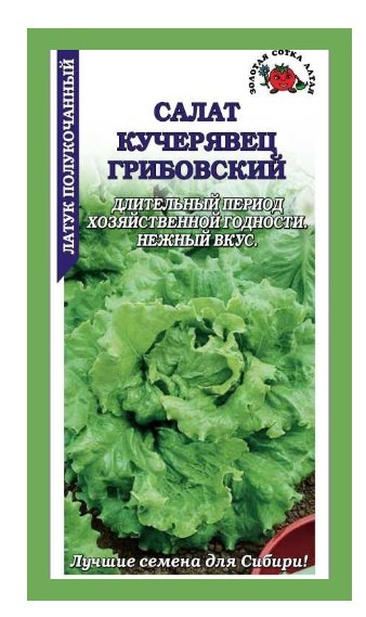 Салат Грибовский кучерявец