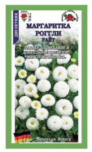 Маргаритка Роггли Уайт