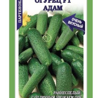 Огурец Адам F1