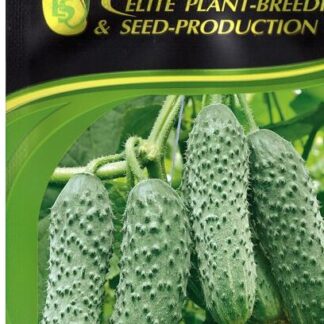 Огурец Мамлюк F1 проф семена поштучно