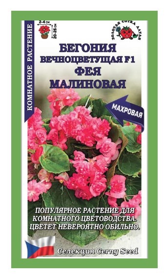 Бегония вечноцветущая Фея Малиновая