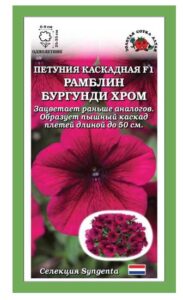 Петуния Рамблин Бургунди Хром F1