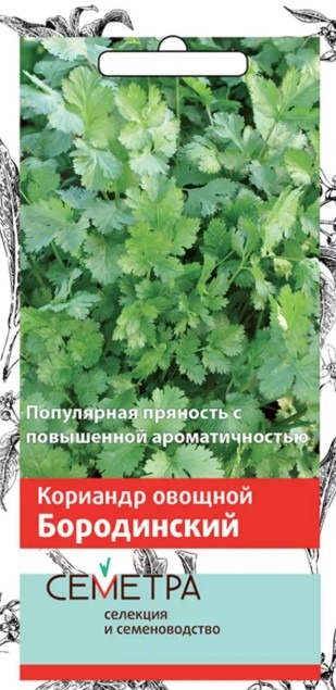 Кориандр овощной Бородинский
