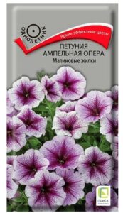 Петуния ампельная Опера Малиновые жилки