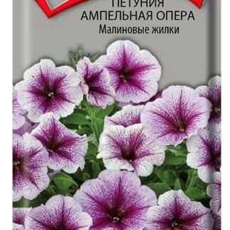 Петуния ампельная Опера Малиновые жилки