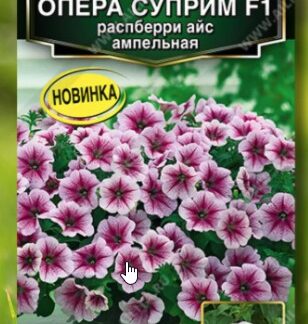 Петуния Опера суприм F1 распберри айс