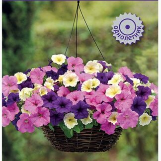 Петуния ампельная F1 Изи Вейв Сандра