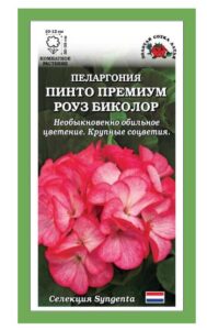 Пеларгония Пинто Премиум F1 Роуз Биколор