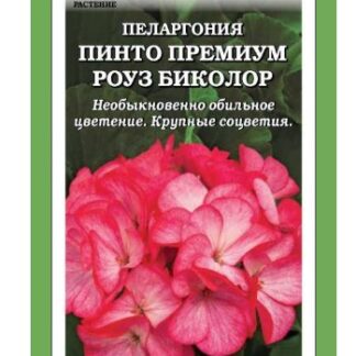 Пеларгония Пинто Премиум F1 Роуз Биколор