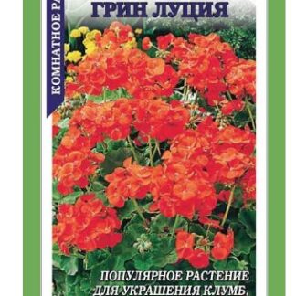 Пеларгония Грин Луция F1