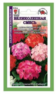Пеларгония Великолепная смесь