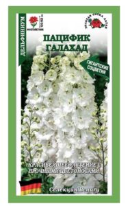 Дельфиниум Пацифик Галахад