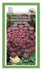 Морковь Фиолетовые Поцелуи дикая