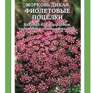 Морковь Фиолетовые Поцелуи дикая