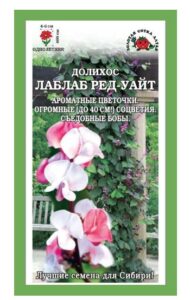 Долихос Лаблаб Ред уайт