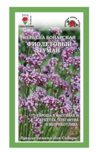 Вербена бонарская Фиолетовый Туман