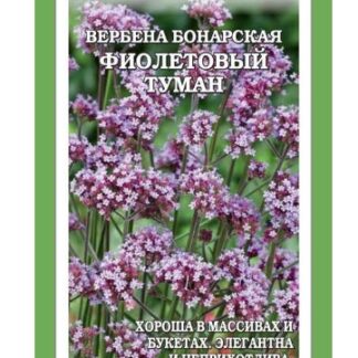 Вербена бонарская Фиолетовый Туман