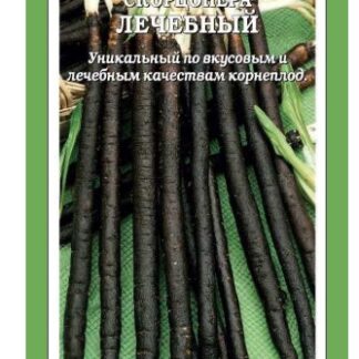 Скорцонера Лечебный