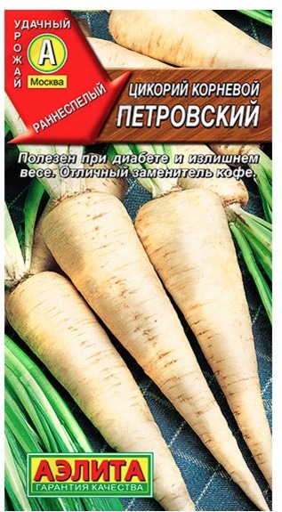 Цикорий Петровский корневой
