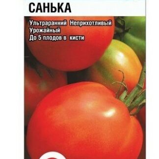 Томат Санька