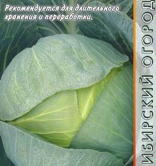 Капуста белокочанная Колобок F1