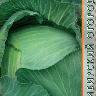 Капуста б/к "Московская поздняя 9"