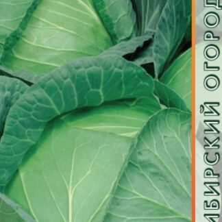 капуста белокочанная Подарок