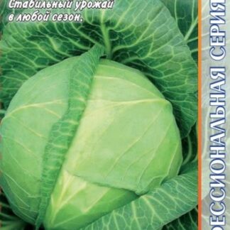 Капуста белокочанная Ринда F1