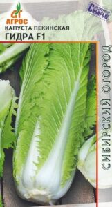 Капуста пекинская Гидра F1
