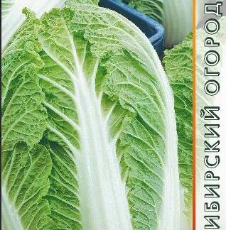 капуста пекинская Ника F1