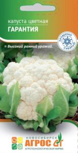 Капуста цветная "Гарантия"