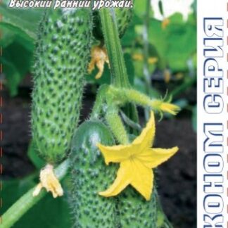 Огурец "СВ 4097