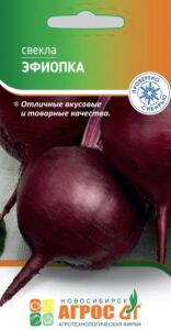 Свекла "Эфиопка"