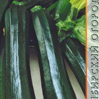 кабачок Черный красавец