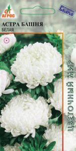 Астра Башня Белая